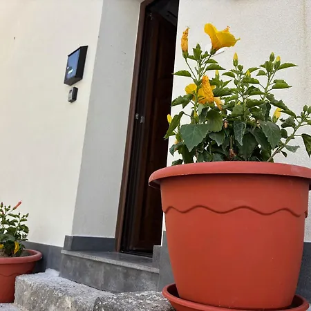 Jasmine House Ustica Heart Isola di Ustica